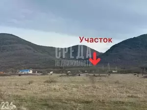 Фото к объявлению #20832094