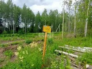 Фото к объявлению #22205726