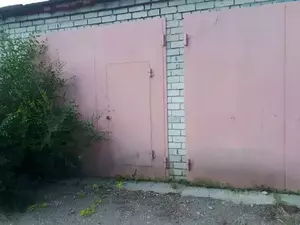 Фото к объявлению #20313157