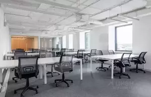 Фото к объявлению #22286187