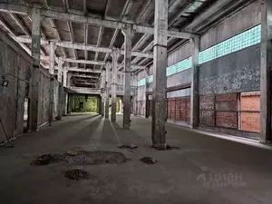 Фото к объявлению #22057147