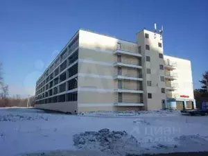 Фото к объявлению #19877819