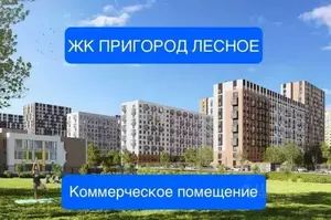 Фото к объявлению #20589348