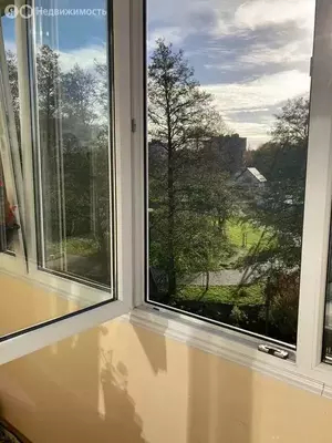 Фото к объявлению #21551695