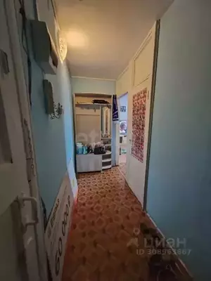 Фото к объявлению #21438723