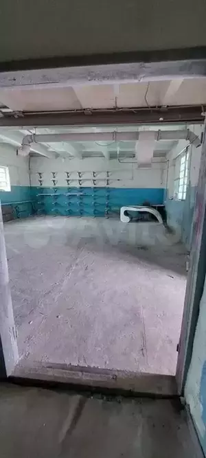 Фото к объявлению #21658350