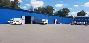 Фото к объявлению #22108542