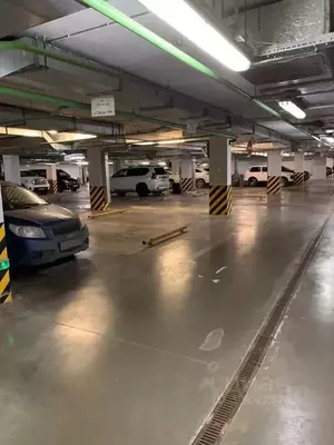 Фото к объявлению #22175762