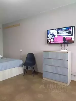 Фото к объявлению #22171461