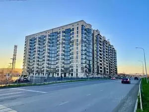 Фото к объявлению #22246404