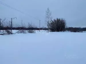 Фото к объявлению #21972910