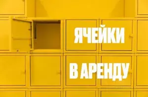 Фото к объявлению #20178838