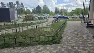 Фото к объявлению #22183928