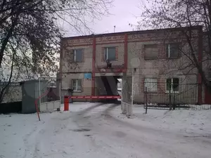 Фото к объявлению #21553906