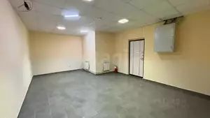 Фото к объявлению #22099046