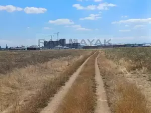 Фото к объявлению #22244408