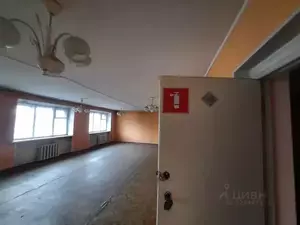 Фото к объявлению #22271225