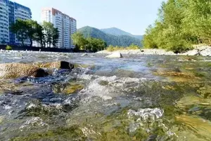 Фото к объявлению #22027882