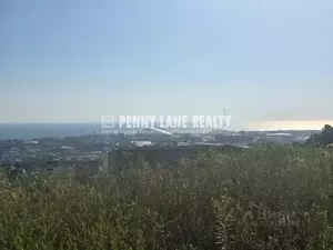 Фото к объявлению #22192618