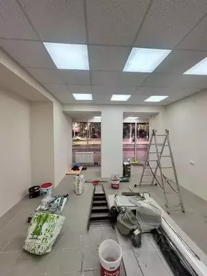 Фото к объявлению #22152518