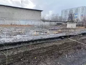 Фото к объявлению #22120739