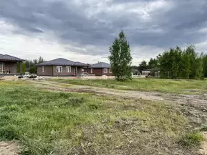 Фото к объявлению #20462323