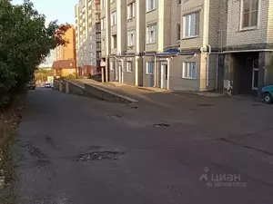 Фото к объявлению #21398968
