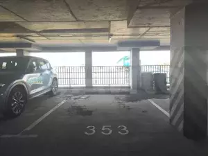 Фото к объявлению #20772805