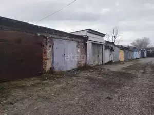 Фото к объявлению #21433628