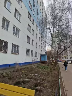 Фото к объявлению #22086638
