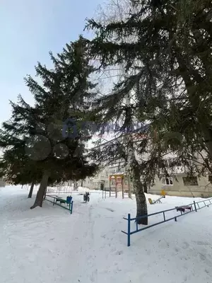 Фото к объявлению #21981164