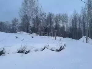 Фото к объявлению #22254844