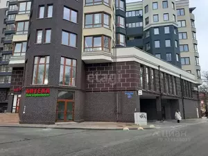 Фото к объявлению #22233046