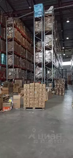 Фото к объявлению #22258798