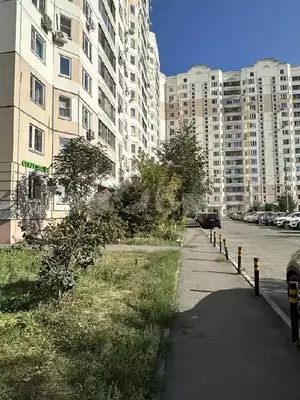 Фото к объявлению #22185550