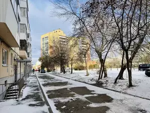 Фото к объявлению #21535408
