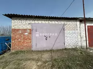 Фото к объявлению #20521752