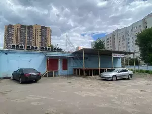 Фото к объявлению #22106053