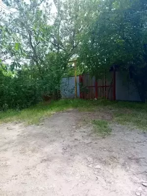 Фото к объявлению #22207798