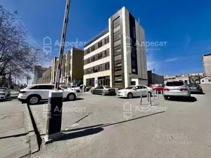 Фото к объявлению #22128075