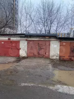 Фото к объявлению #21985448