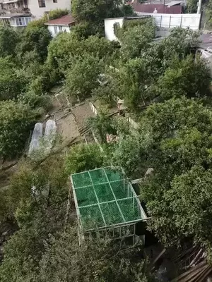 Фото к объявлению #20462613