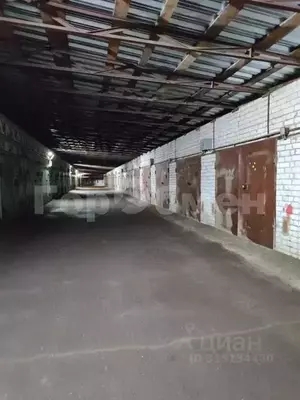 Фото к объявлению #21999049