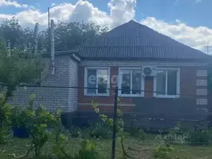 Фото к объявлению #20664861