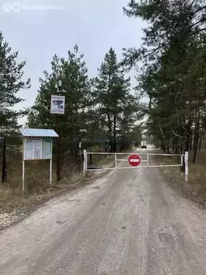 Фото к объявлению #21702749