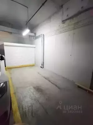 Фото к объявлению #22142084