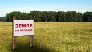 Фото к объявлению #22172435