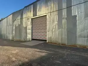 Фото к объявлению #22238506