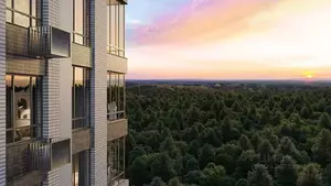 Фото к объявлению #22226197