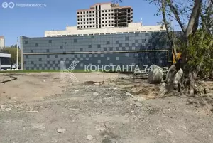 Фото к объявлению #22055806